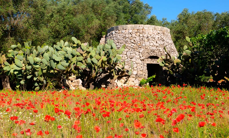 Cosa fare nel Salento il 25 aprile: eventi, mare e itinerari
