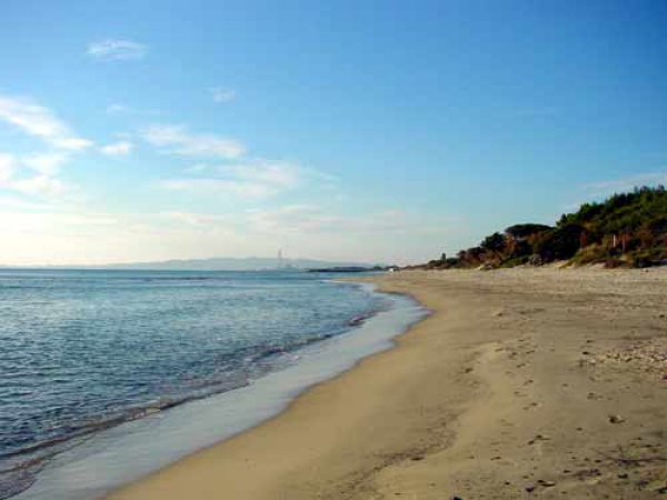 Perchè scegliere Torre Mozza?