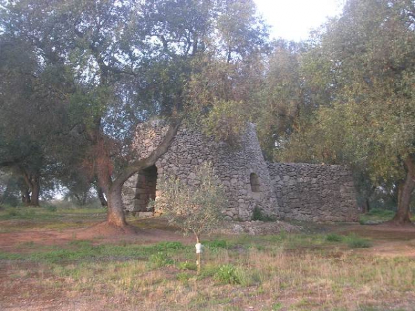 Trullo e pajara sono la stessa cosa?