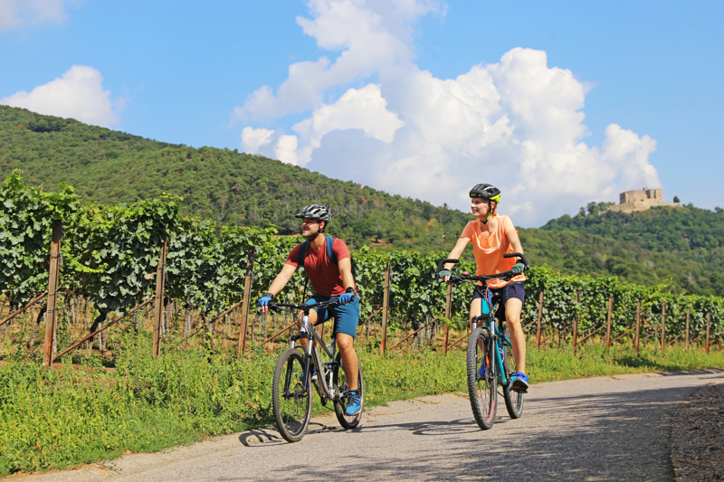 Dove dormire in Puglia se ami la bici: i migliori hotel bike friendly