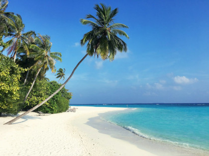 Maldive