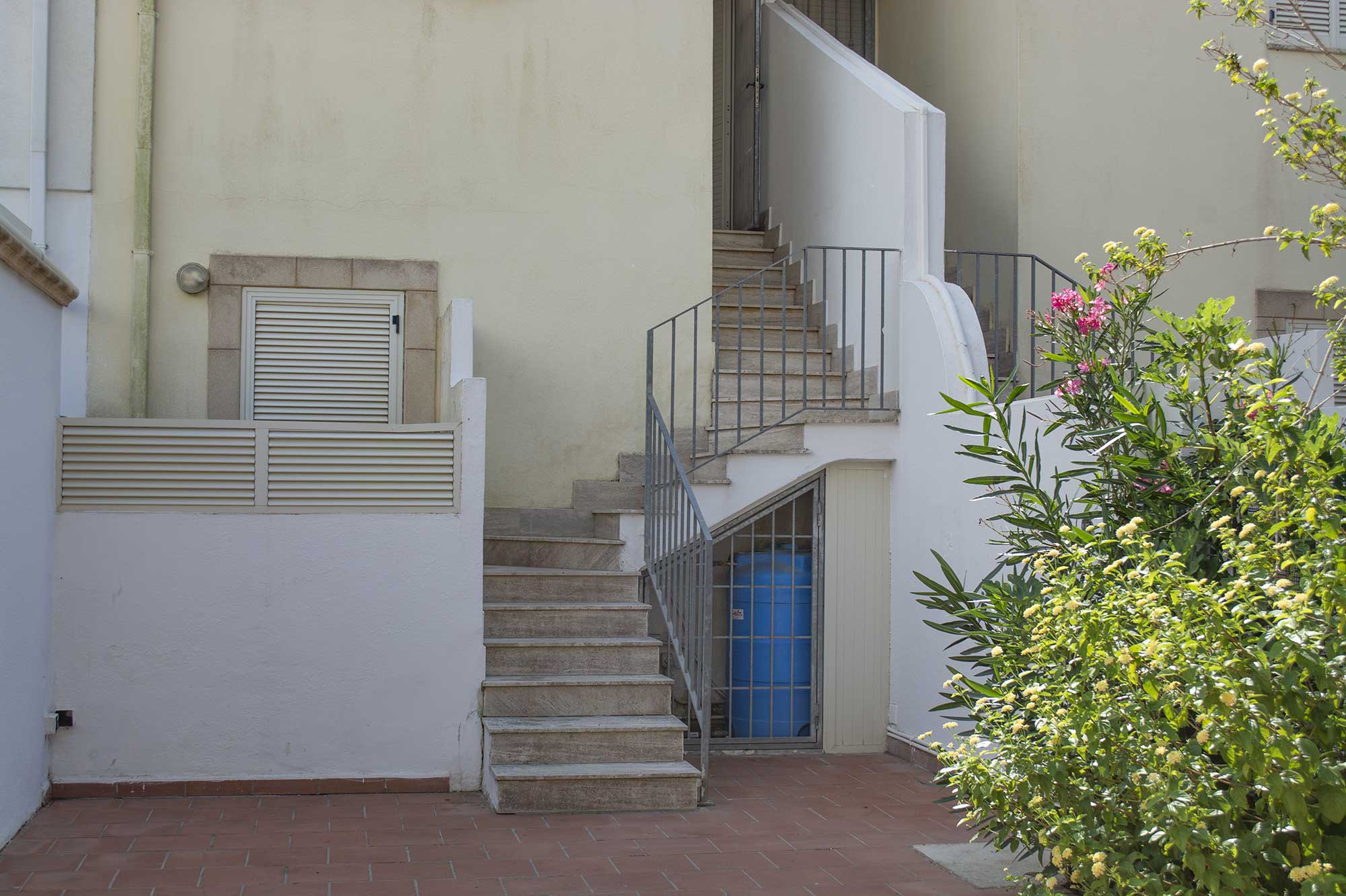 Appartamenti in Affitto a Torre Mozza 