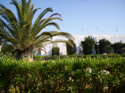 Residence Baia d'Oro - Appartamento Affitto Torre Mozza