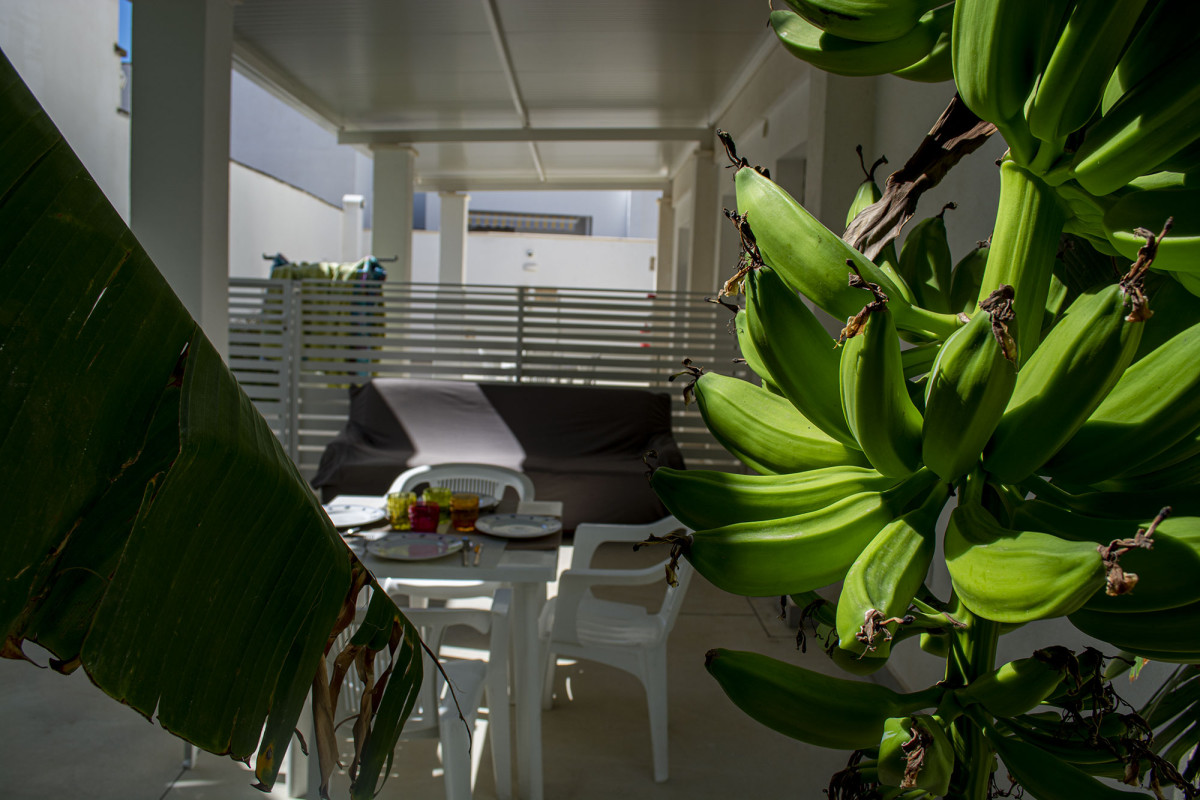 Stile e Comfort in Vacanza: Appartamento Esclusivo a Torre San Giovanni