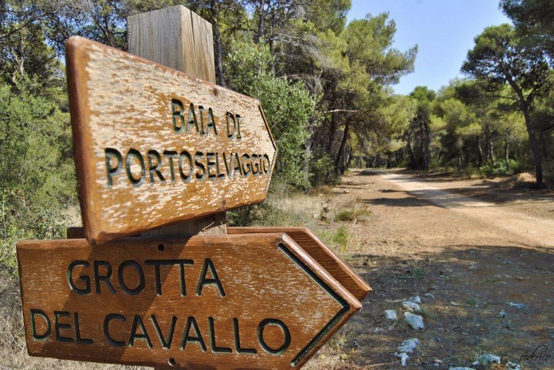 Grotta del Cavallo a Porto Selvaggio