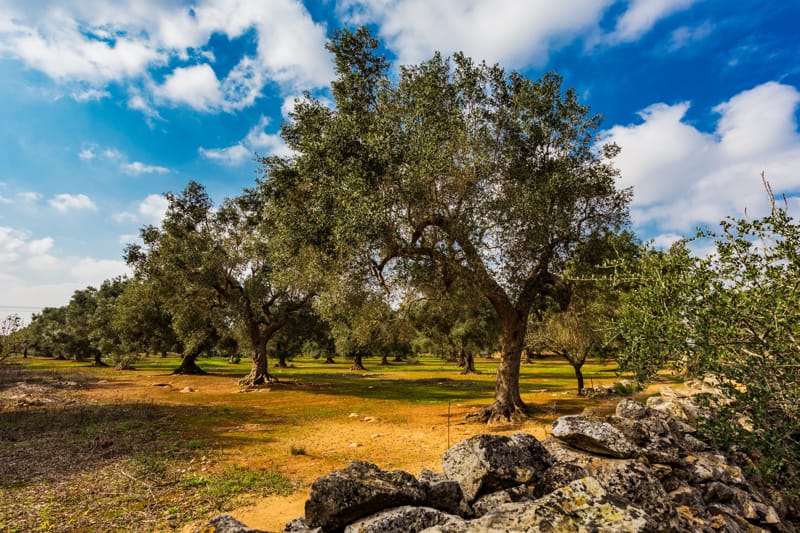 Salento in bassa stagione: perché visitarlo in primavera o autunno