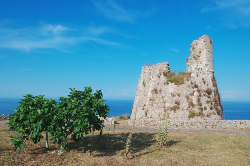 Torre Nasparo