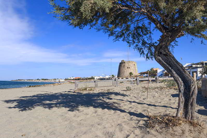 Vacanze in Famiglia a Torre Mozza