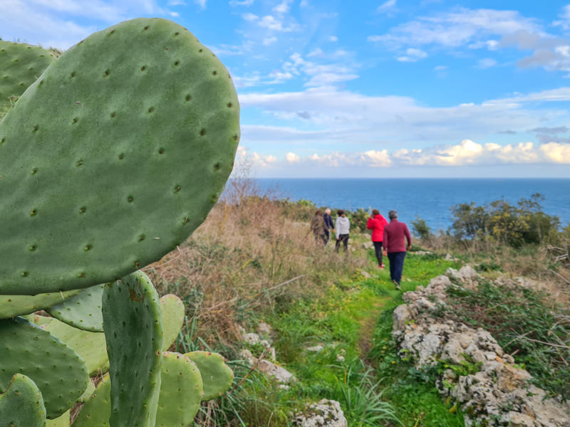 Trekking in Salento: gli itinerari più suggestivi