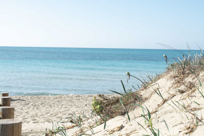 Casa Vacanze con Giardino Torre Mozza