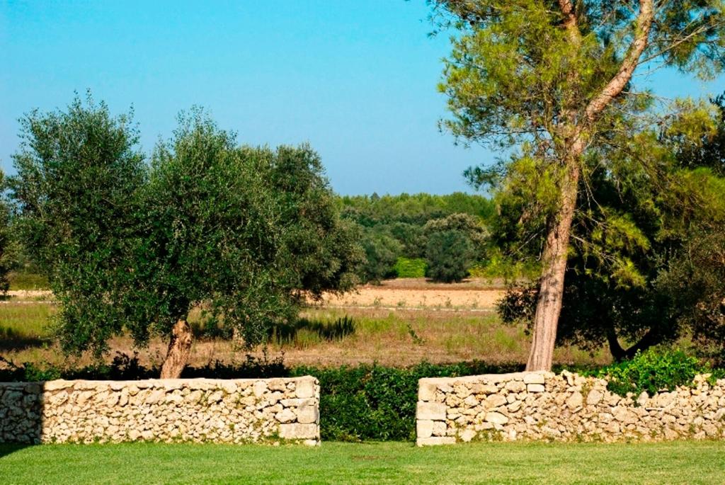 Masseria del Bosco di Makyva