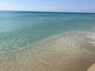 Quadrilocale Affitto Torre Mozza Salento