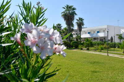 Residence Club Baia D'Oro  Torre Mozza