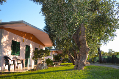 Villaggio Uliveto Rodi Garganico