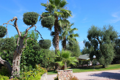 Villaggio Uliveto Rodi Garganico