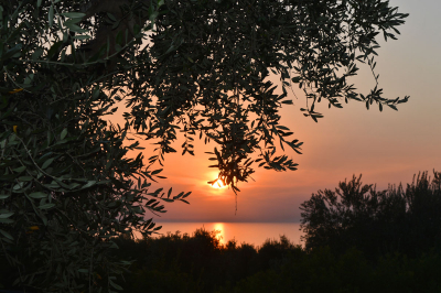 Villaggio Uliveto Rodi Garganico